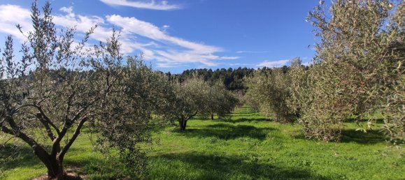 Hotel in Chalkidiki, Greece 14000m², Nr. 4013 2