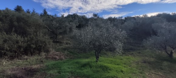 Hotel in Chalkidiki, Greece 14000m², Nr. 4013 4