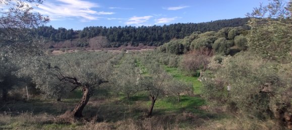 Hotel in Chalkidiki, Greece 14000m², Nr. 4013 3