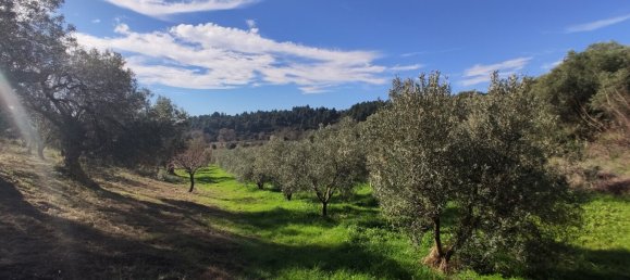 Hotel in Chalkidiki, Greece 14000m², Nr. 4013 5