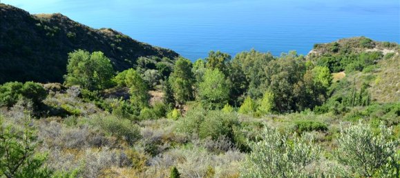 30000m² Hotel in Zakynthos, Greece No. 7582 5