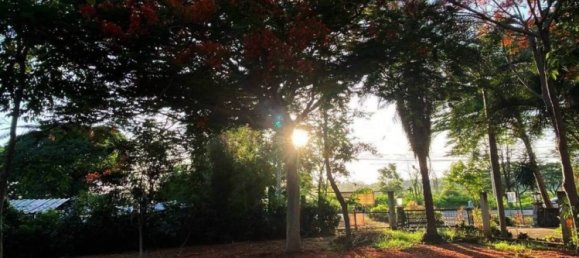 928m² Commercial property in Bang Lamung, Thailand No. 15543 6