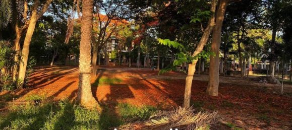 928m² Commercial property in Bang Lamung, Thailand No. 15543 7