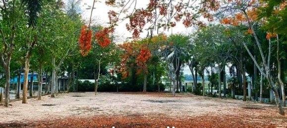 928m² Commercial property in Bang Lamung, Thailand No. 15543 4