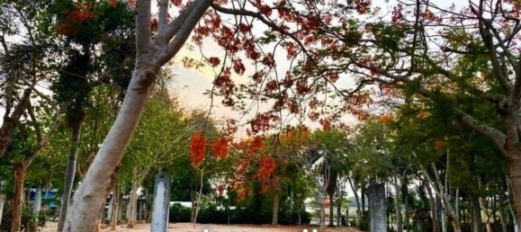 928m² Commercial property in Bang Lamung, Thailand No. 15543 5