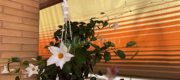 Apartamento T3 em Rome, Italy N.º 316669 11