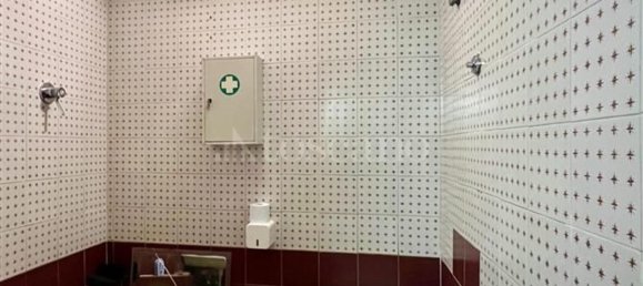 6 rooms Commercial property in Rome, Italy No. 170120 39