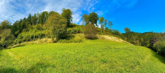  Land in Frohnleiten, Austria No. 105525 4