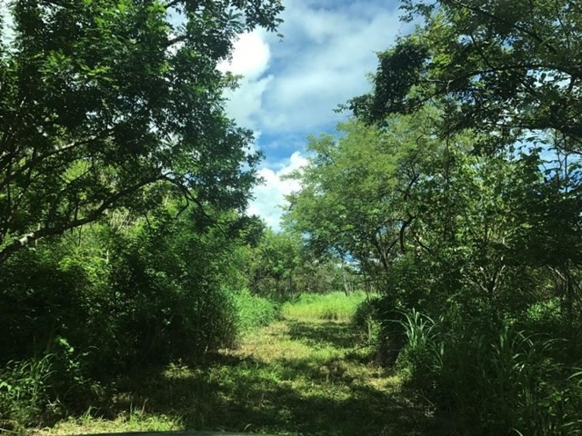 terreno en venta en Liberia, Guanacaste, Costa Rica № 1691