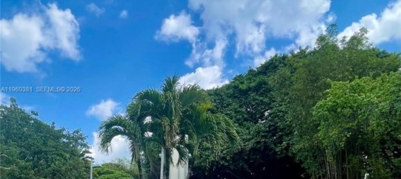 1 Schlafzimmer Gewerbliche Immobilien in Miami, USA, Nr. 615525 30