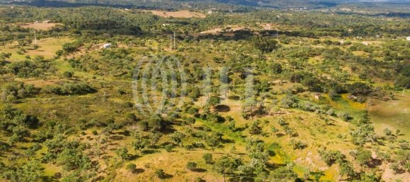 59125m² Land in Grandola, Portugal No. 79833 8