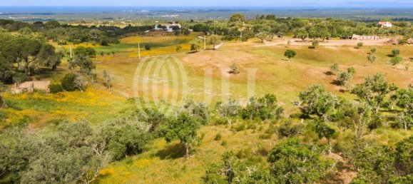 59125m² Land in Grandola, Portugal No. 79833 9
