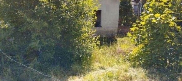 5 rooms House in Altenburger Land, Germany No. 138873 3