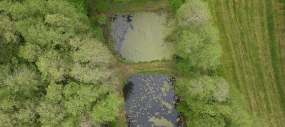  Land in Marburg-Biedenkopf, Germany No. 336353 2