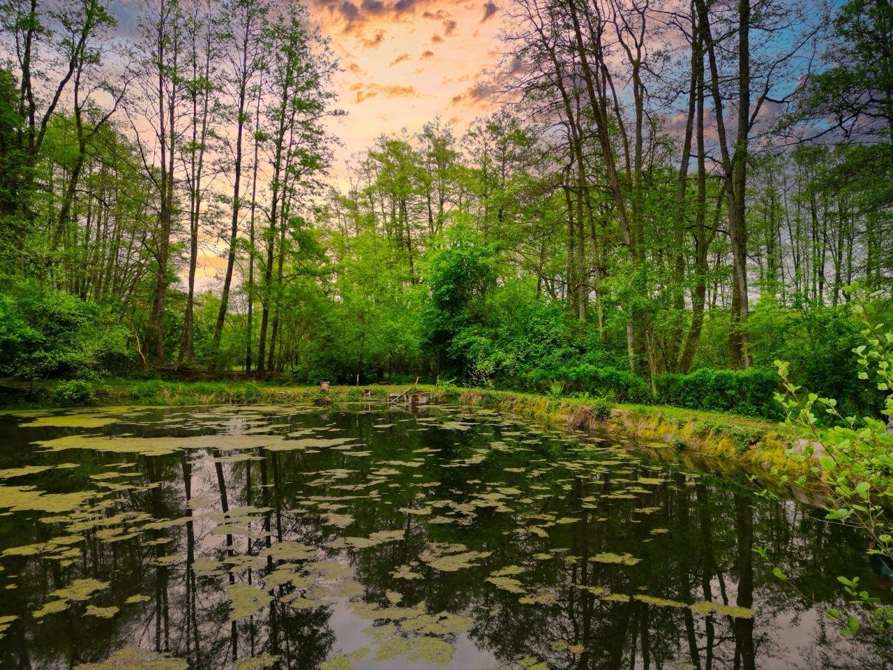  Land in Marburg-Biedenkopf, Germany No. 336353