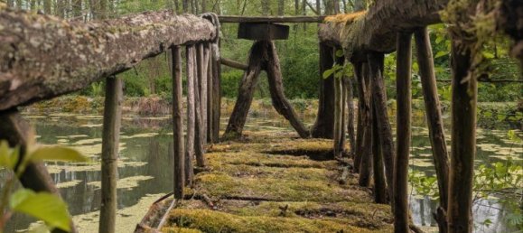  Land in Marburg-Biedenkopf, Germany No. 336353 3