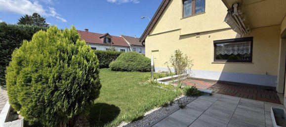 6 rooms House in Enzesfeld-Lindabrunn, Austria No. 206334 3