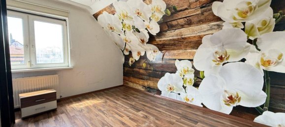 6 rooms House in Enzesfeld-Lindabrunn, Austria No. 206334 9