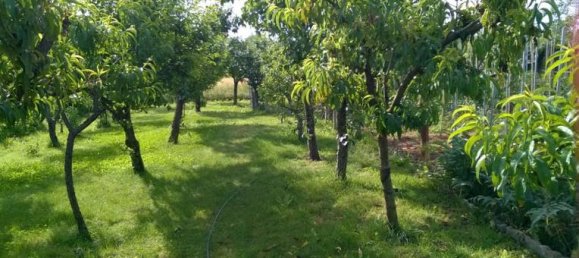 4 غرف نوم منزل في Larciano, Italy رقم 255094 2