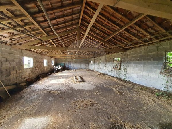 147m² Warehouse in Oliveira de Frades, Portugal No. 91747