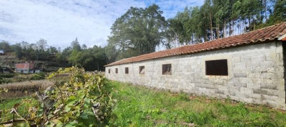 147m² Warehouse in Oliveira de Frades, Portugal No. 91747 2