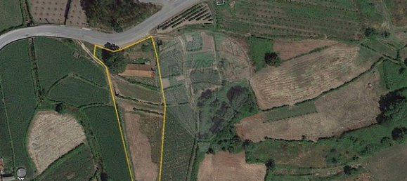 147m² Warehouse in Oliveira de Frades, Portugal No. 91747 18