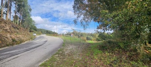 147m² Warehouse in Oliveira de Frades, Portugal No. 91747 17