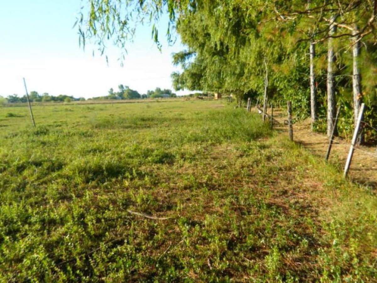 Terreno em Santa Fe, Argentina N.º 39399