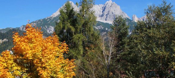 3 rooms Apartment in Saalfelden am Steinernen Meer, Austria No. 244663 10