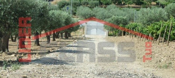 5 bedrooms House in Vila Flor, Portugal No. 221449 24