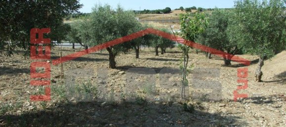 5 bedrooms House in Vila Flor, Portugal No. 221449 23