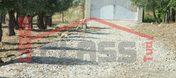 5 bedrooms House in Vila Flor, Portugal No. 221449 26