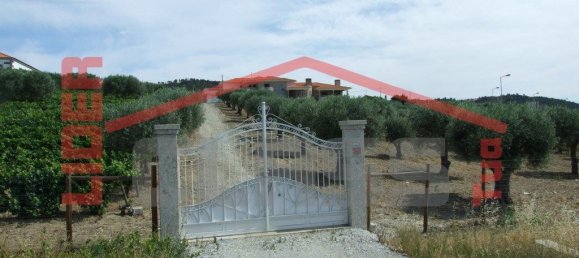5 bedrooms House in Vila Flor, Portugal No. 221449 25