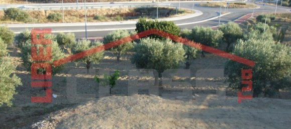 5 bedrooms House in Vila Flor, Portugal No. 221449 22