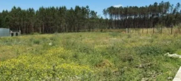 Casa T7 em Leiria, Portugal N.º 152687 41