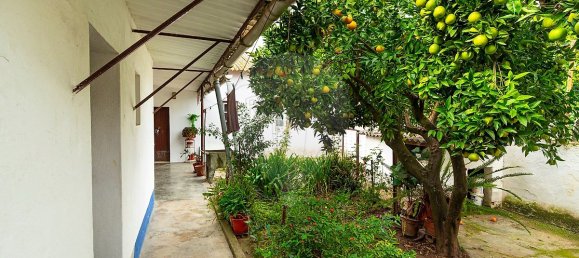 2 Schlafzimmer Haus in Montemor o Novo, Portugal, Nr. 27928 19