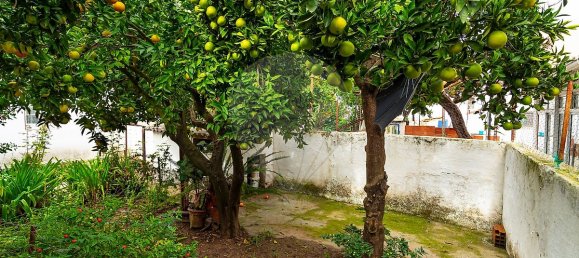 2 Schlafzimmer Haus in Montemor o Novo, Portugal, Nr. 27928 18