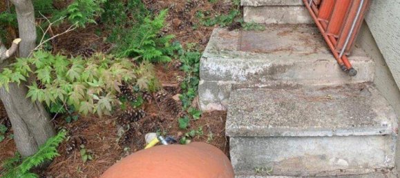 4-Zimmer Haus in Ottakring, Austria, Nr. 211979 18