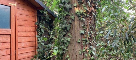 4-Zimmer Haus in Ottakring, Austria, Nr. 211979 5