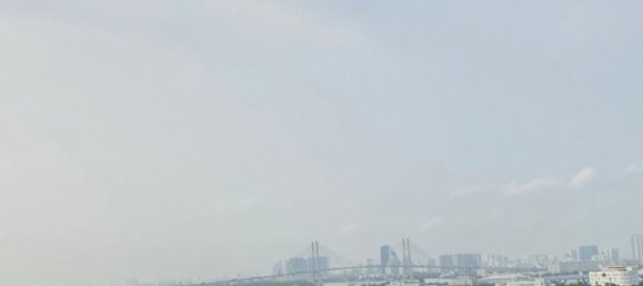 2 bedrooms Apartment in Thu Duc, Vietnam No. 17657 11