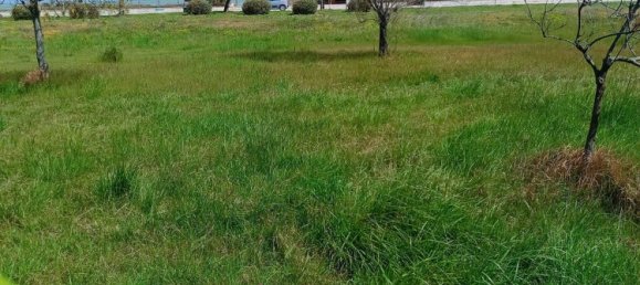 5-salle Appartement à San Salvo, Italy No. 260539 39