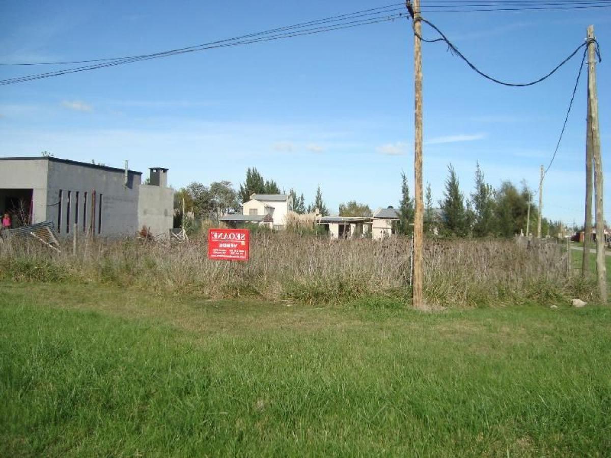  Land in Brandsen, Argentina No. 38895