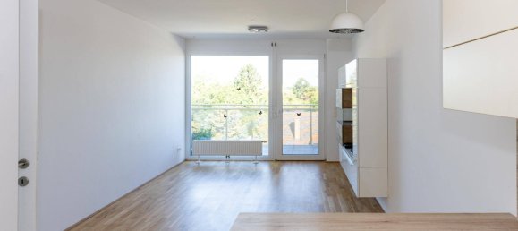 2 bedrooms Apartment in Ganserndorf, Austria No. 211249 6
