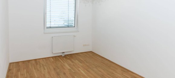 2 bedrooms Apartment in Ganserndorf, Austria No. 211249 12