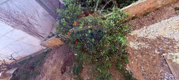 3 bedrooms Apartment in Valderice, Italy No. 352113 11