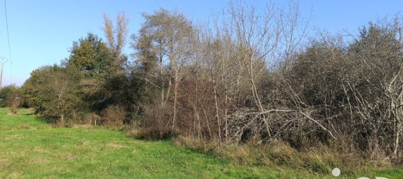 Terrain à Pruniers-en-Sologne, France 11202m² No. 213854 2