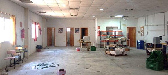  مستودع في Los Ramos, Spain 529متر مربع رقم 153021 9