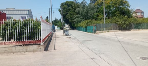  مستودع في Los Ramos, Spain 529متر مربع رقم 153021 6