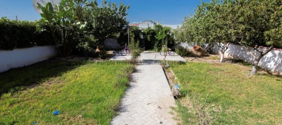 4 Schlafzimmer Villa in Kiti, Cyprus, Nr. 1436 7