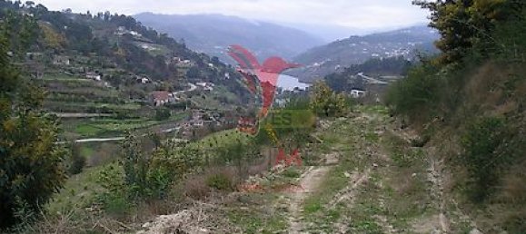 Дом с 7 спальнями в Марку ди Канавезиш, Португалия № 39572 11